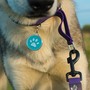 Example of use #1: Rubber Webbing – Purple