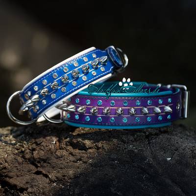 Dog collars