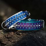 Dog collars