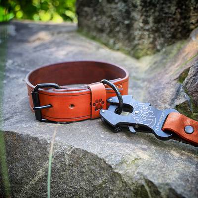 Leather Collar with Black Hardware and Snap