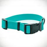 Pastel Green Hexa Collar Front Side