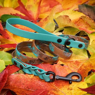 Turquoise Brown Leash with Black Hardware and Aluminum Carabiner
