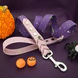 Purple and Pink Leash with Aluminium Carabiner