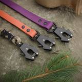 Coloured Leads with Aluminium Trigger Snap and Black Hardware