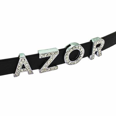 Black collar Azor