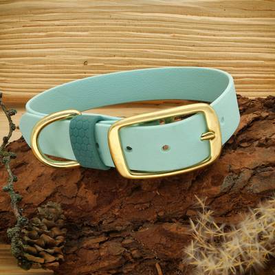 Pastel Blue Collar with Brass Hardware
