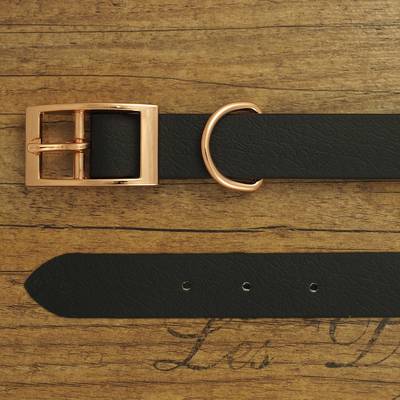 Black dog collar made of waterproof webbing
