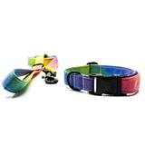 Rainbow collar and rainbow leash