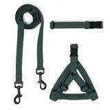 Kerosene Collar and Harness with Black Hardware