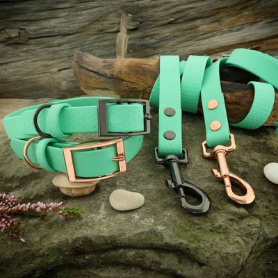 Caribbean Blue Leashes and Collars
