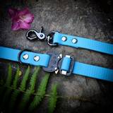 Blue Collar and Leash with Buckle Cobra FM