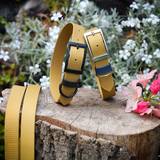 Gold Waterproof Collars with Black and Nickel Plated Hardware