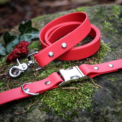 Collar and Leash with Black Hardware and Webbing Color Viva Magenta