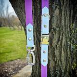 Collar with Leash Pastel Lavender and Nickel Plated Hardware