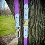 Example of use #1: Metal Side Release Buckle Plus – Nickel Plated