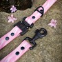 Example of use #2: Aluminum Buckle COBRA® PRO STYLE