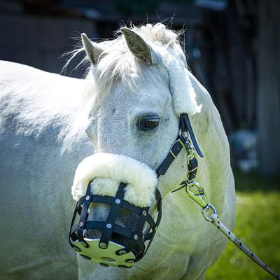 Grazing Muzzles for Horses