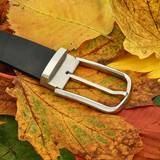 Brown Belt with Stainless Steel Buckle