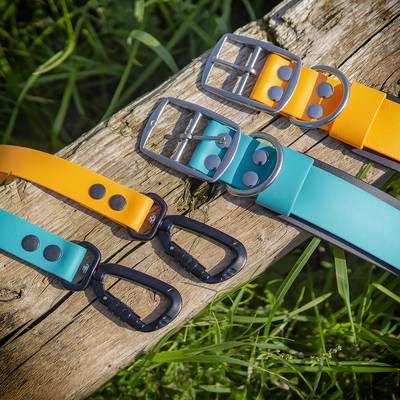 Pastel Green / Orange Collar and Leash