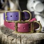 Example of use #4: Double Bar Collar Buckle – Brass