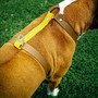 Example of use #2: O Ring – Stainless Steel
