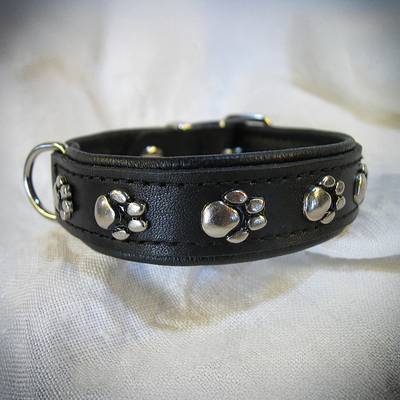 Dog collar paws