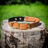 Black / Brown Collar with Brass Hardware