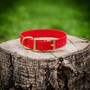 Example of use #5: Double Bar Collar Buckle – Brass