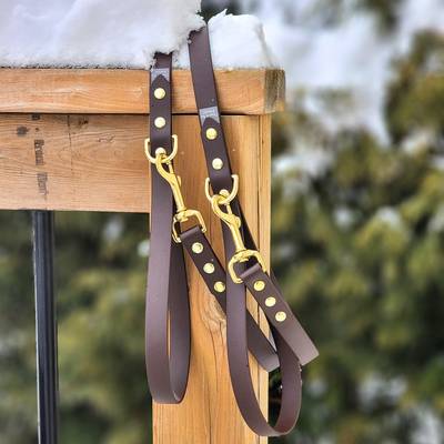 Dark Brown Leash with Brass Hardware