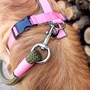 Example of use #1: Neon pink Webbing 10 mm