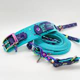Stylish Leash and Collar Set with Neo Chrome Hardware