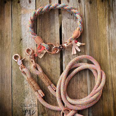 Rosegold collar and leash