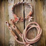 Rosegold collar and leash
