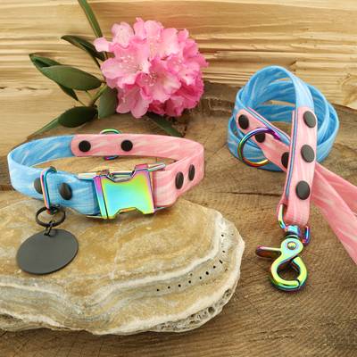 Coloured Leash with Collar and Neon Hardware