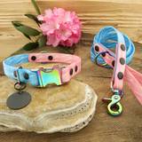 Coloured Leash with Collar and Neon Hardware