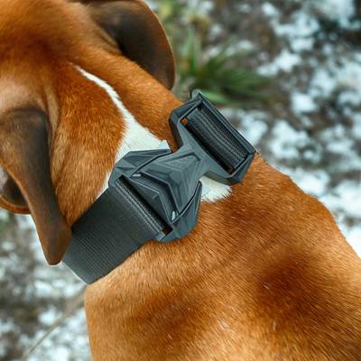 Black Robust Collar with COBRA® NG Plastic Buckle