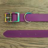 Purple collar made of waterproof webbing