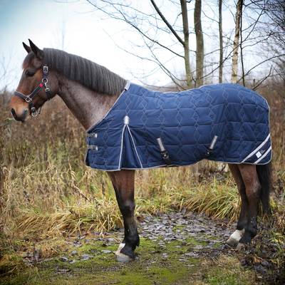 Blue Horse Blanket with Surcingle Buckle Set