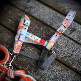Multi Color Horse Halter detail