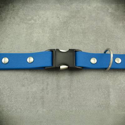 Dog Collar with Stainless Steel Hardware