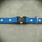 Dog Collar with Stainless Steel Hardware