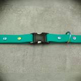 Dog Collar with Neo Hardware