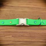 Green Neon Dog Collar with Neo Hardware