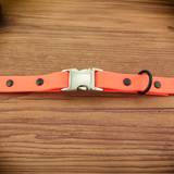 Neon Orange Dog Collar with Black Hardware