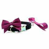 Collar and Leash with Neo Hardware