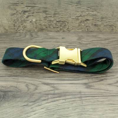 Green cubes collar dog