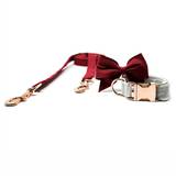 Red Collar and Grey Leash with Rose Gold Hardware