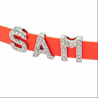 Neon orange collar Sam