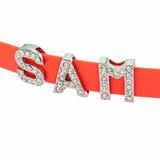 Neon orange collar Sam