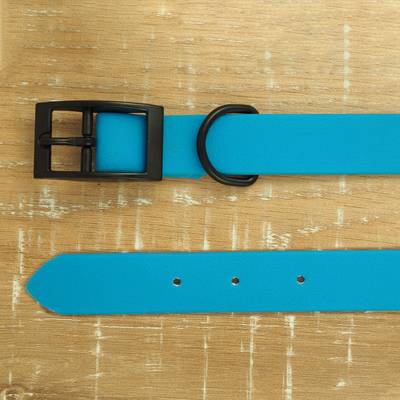 Sky blue collar made of waterproof webbing